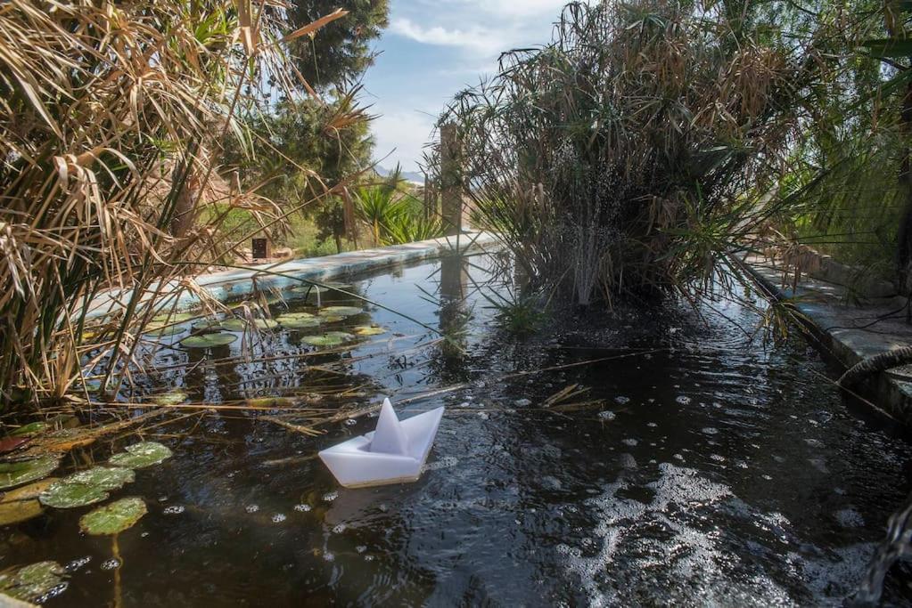 فيلا Oasis De Ifre Caserío Cañada de Gallego المظهر الخارجي الصورة