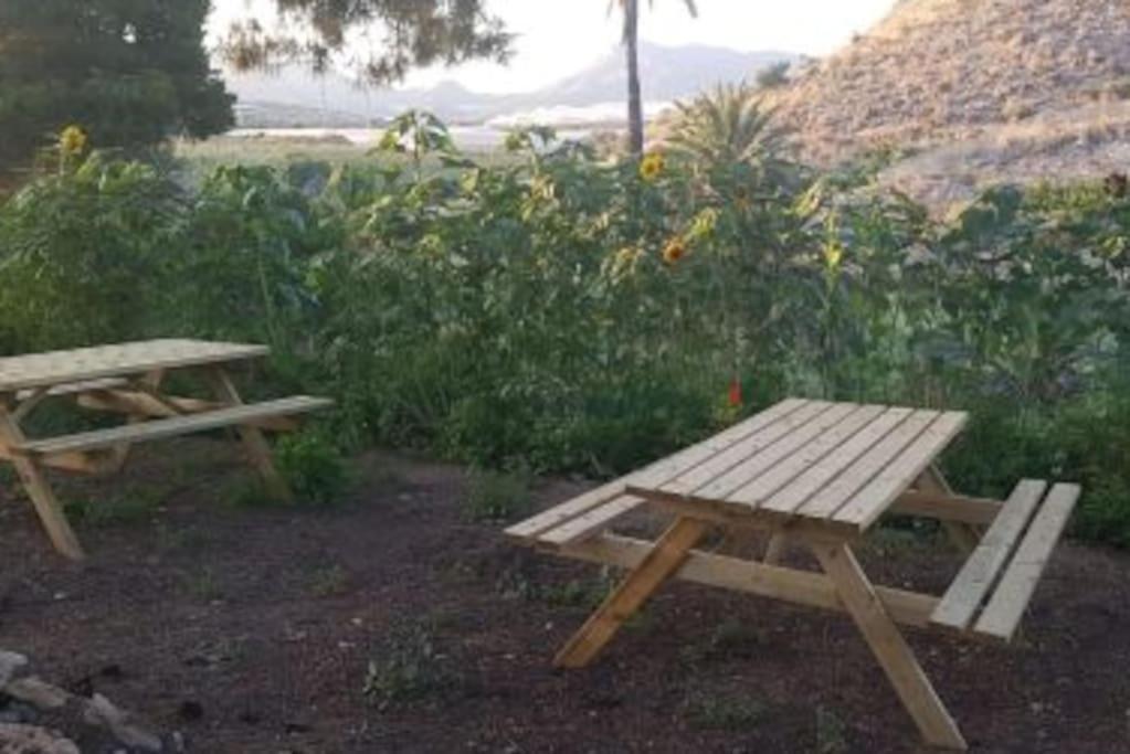فيلا Oasis De Ifre Caserío Cañada de Gallego المظهر الخارجي الصورة