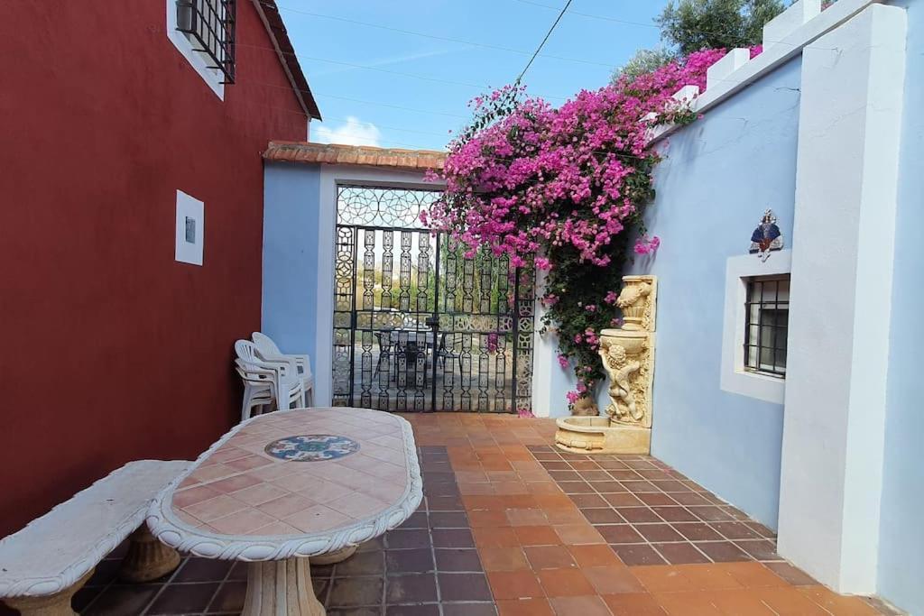 فيلا Oasis De Ifre Caserío Cañada de Gallego المظهر الخارجي الصورة