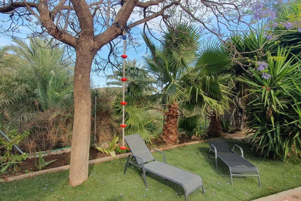 فيلا Oasis De Ifre Caserío Cañada de Gallego المظهر الخارجي الصورة