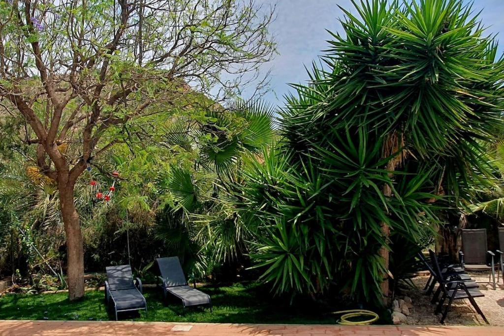 فيلا Oasis De Ifre Caserío Cañada de Gallego المظهر الخارجي الصورة