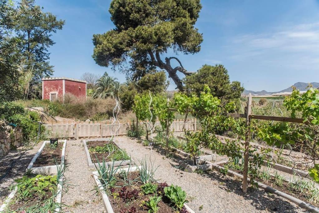فيلا Oasis De Ifre Caserío Cañada de Gallego المظهر الخارجي الصورة