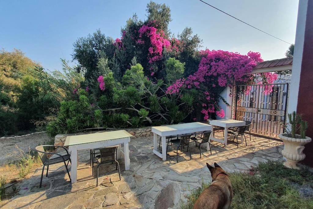 فيلا Oasis De Ifre Caserío Cañada de Gallego المظهر الخارجي الصورة