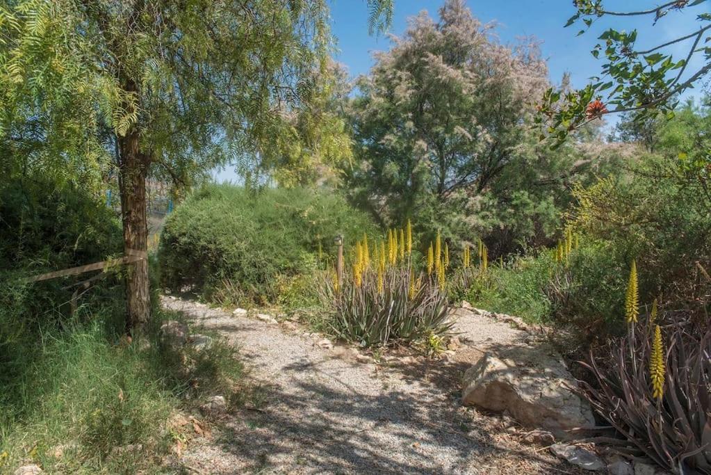 فيلا Oasis De Ifre Caserío Cañada de Gallego المظهر الخارجي الصورة