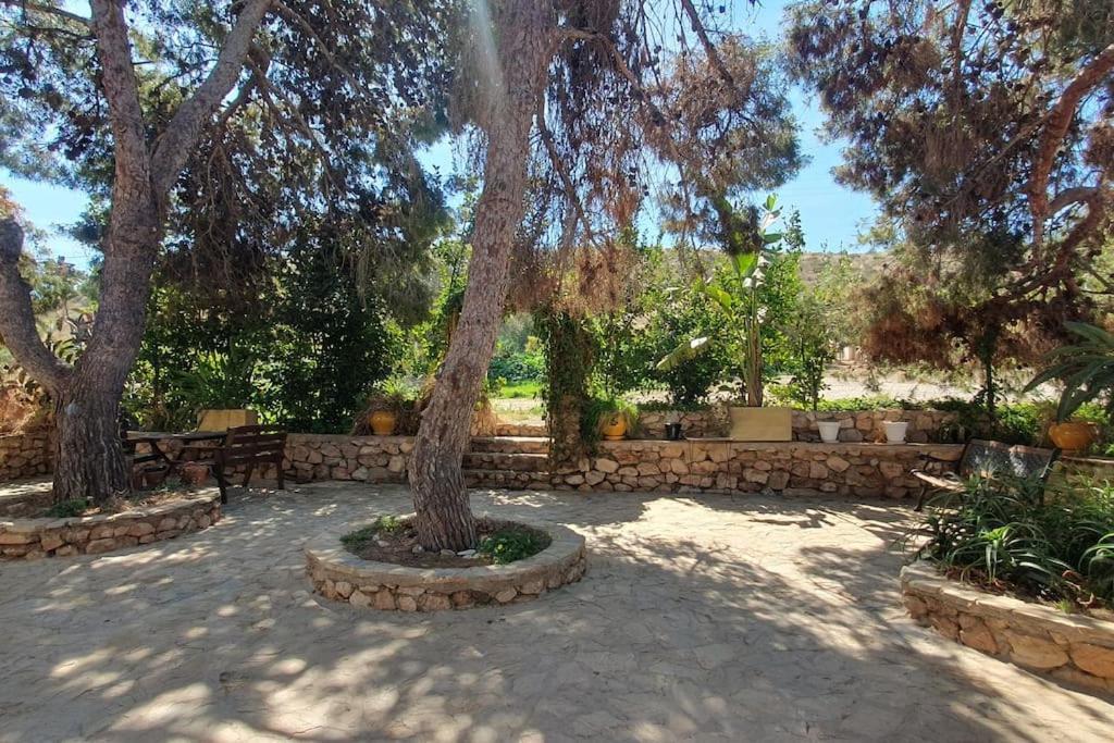 فيلا Oasis De Ifre Caserío Cañada de Gallego المظهر الخارجي الصورة
