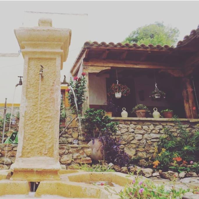 فيلا Oasis De Ifre Caserío Cañada de Gallego المظهر الخارجي الصورة
