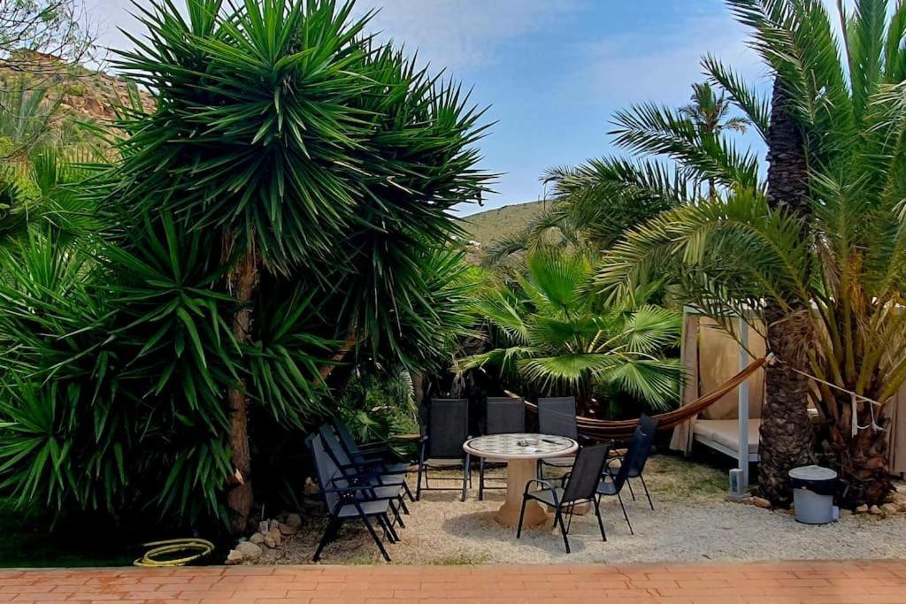 فيلا Oasis De Ifre Caserío Cañada de Gallego المظهر الخارجي الصورة
