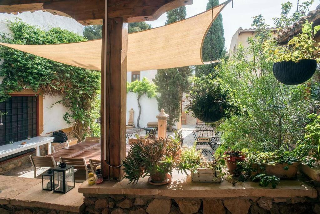فيلا Oasis De Ifre Caserío Cañada de Gallego المظهر الخارجي الصورة