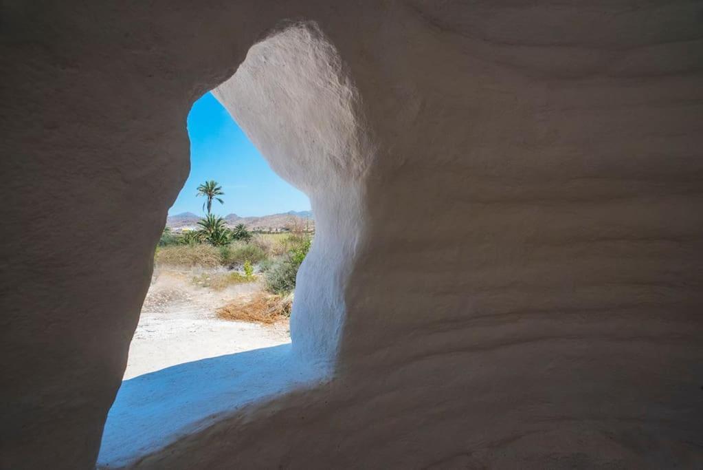 فيلا Oasis De Ifre Caserío Cañada de Gallego المظهر الخارجي الصورة